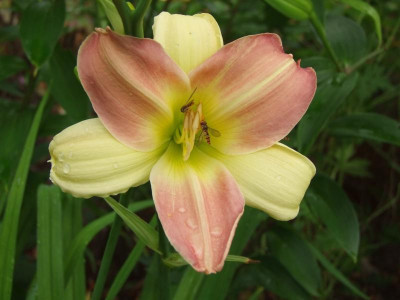 05.07.2019 12-38-49_14044.jpg