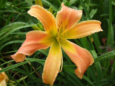 05.07.2019 12-40-49_14091.jpg