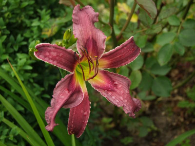05.07.2019 12-46-49_14232.jpg