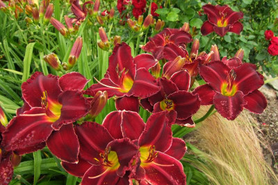 05.07.2019 12-43-36_14157.jpg