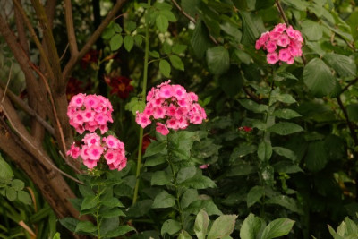 DSCF9791_4058.JPG