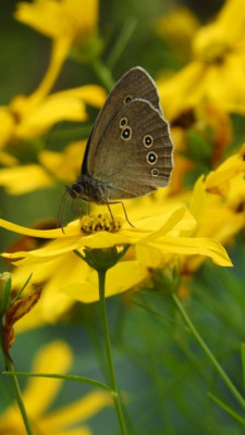DSCN4544.JPG