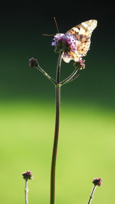DSCN4484.JPG