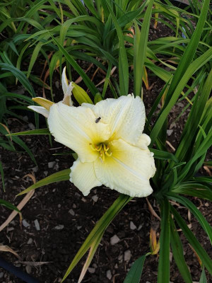 20190707_093413.jpg