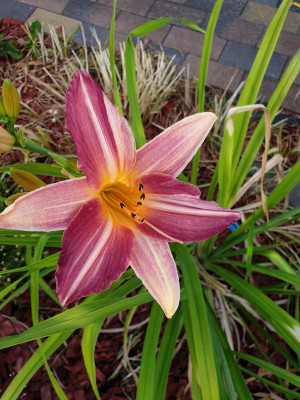 20190707_092459.jpg