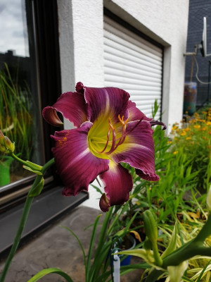 20190708_101504.jpg