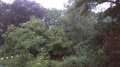 IMG-20190706-WA0010.jpeg