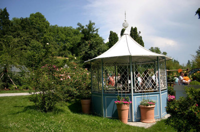 Mainau8107.jpg