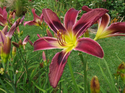 07.07.2019 19-28-29_14457.jpg