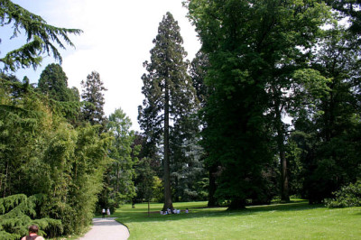 Mainau8907.jpg