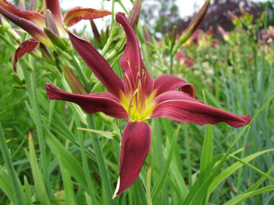 07.07.2019 19-28-34_14459.jpg