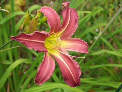 07.07.2019 19-29-32_14481.jpg