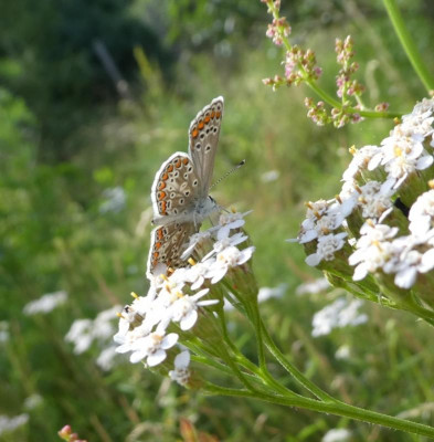 20190708_220800.jpg