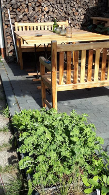 20190709_084038.jpg