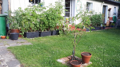 20190709_083751.jpg