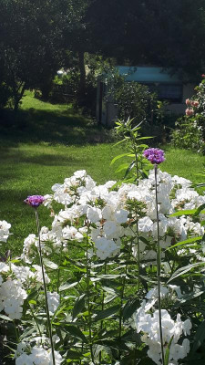 20190709_084154.jpg
