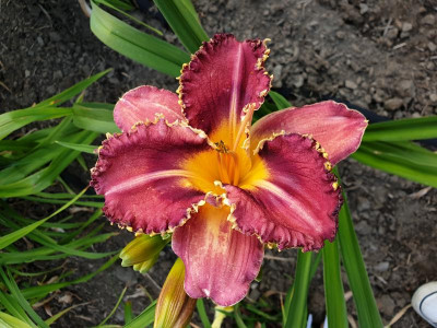 20190709_203014.jpg