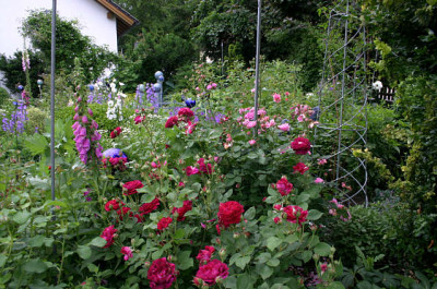 Gartenansicht4507.jpg