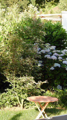 DSCN4569.JPG