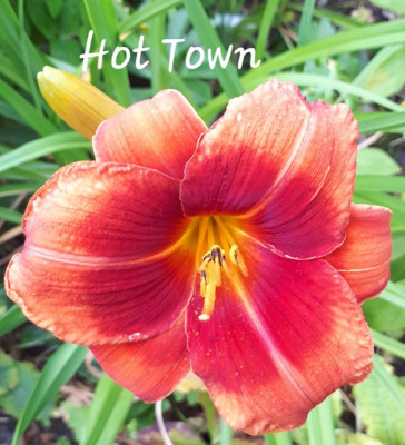 20190705_220241.jpg