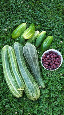 IMG-20190711-WA0001.jpeg