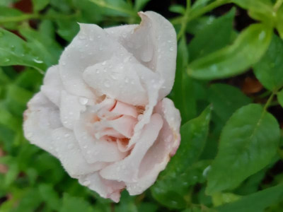 20190712_203209.jpg