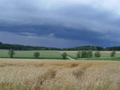 August.jpg