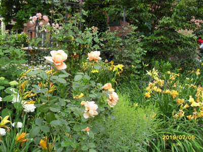Bei G. Hohls 2019 04.jpg