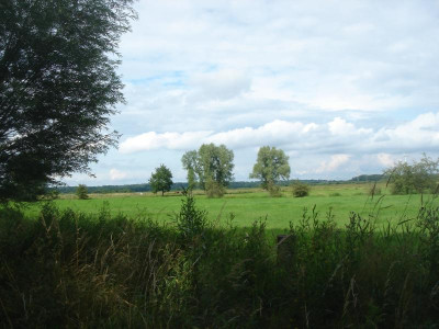 DSC06534.JPG