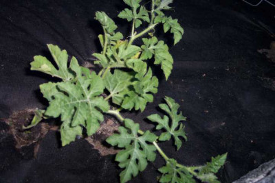 K640_100_3677.JPG