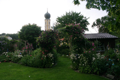 Rosenbogen1907.jpg
