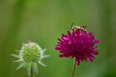 DSC_0060.jpg