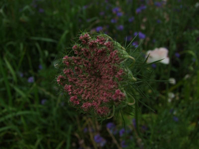 15.07.2019 08-24-22_16028.jpg