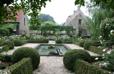 Schwan-in-Loverlij.jpg