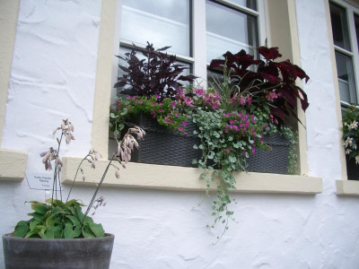IMGP1810.JPG