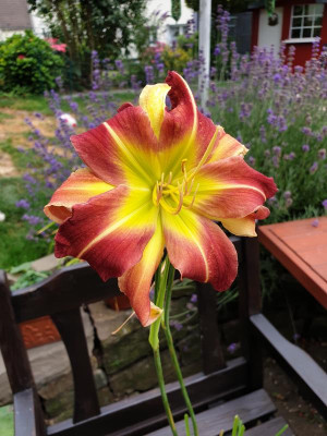 20190717_173410.jpg