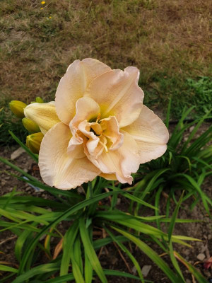 20190717_163924.jpg