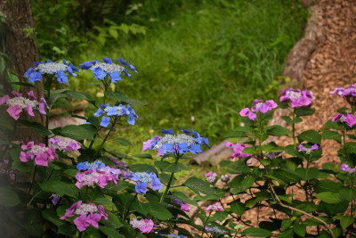 DSCF6289 1.jpg