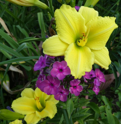 20190717_215323.jpg