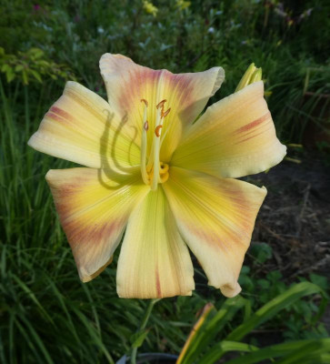 20190717_215148.jpg