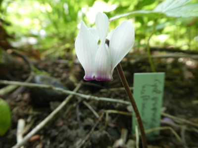 P1050637.JPG