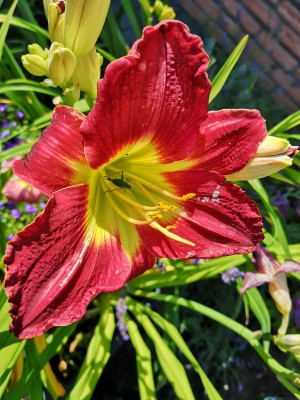 IMG_20190719_123830.jpg