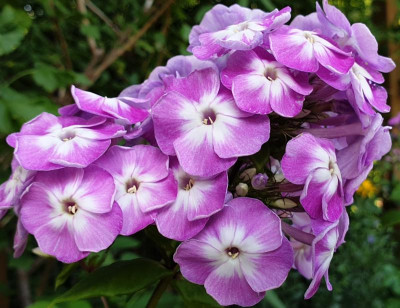 20190720_154025.jpg