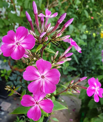 20190720_154105.jpg