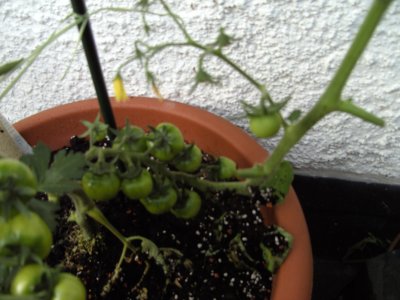 BILD0660.JPG