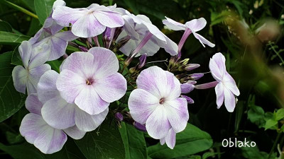 20190720_191014.jpg