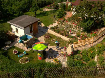 070609GartenlaubealsSchaufesterkl.jpg