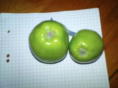 DSC02844.JPG