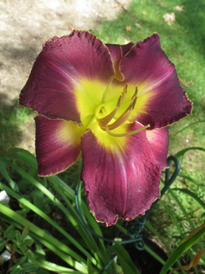 Beautiful As Your Eyes_8405.JPG