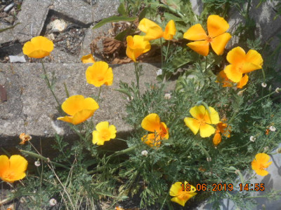 DSCN8345.jpg